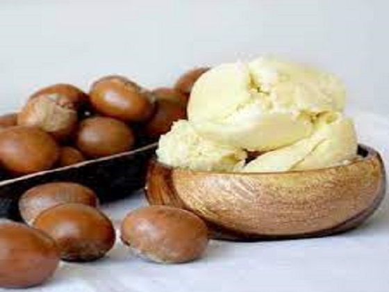DEVELOPMENT OF SHEA BUTTER FOR DOMESTIC INDUSTRY AND EXPORT